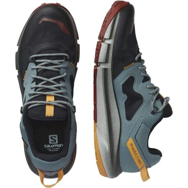 Turquoise / Black Salomon Predict Hike GTX Men's Hiking Shoes | PH 30654I